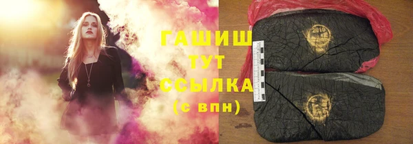 прущие грибы Новокубанск