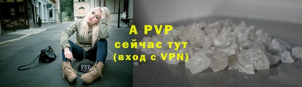 ешки Новодвинск