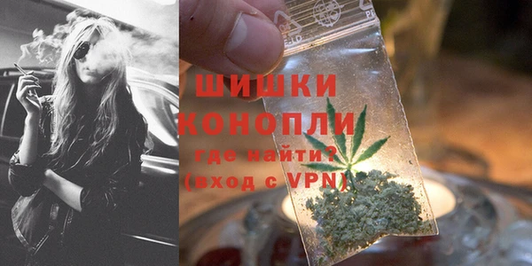 прущие грибы Новокубанск