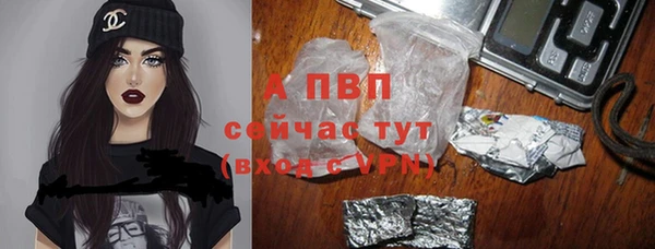 ешки Новодвинск