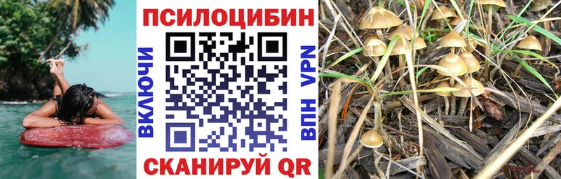 Галлюциногенные грибы прущие грибы Нововоронеж
