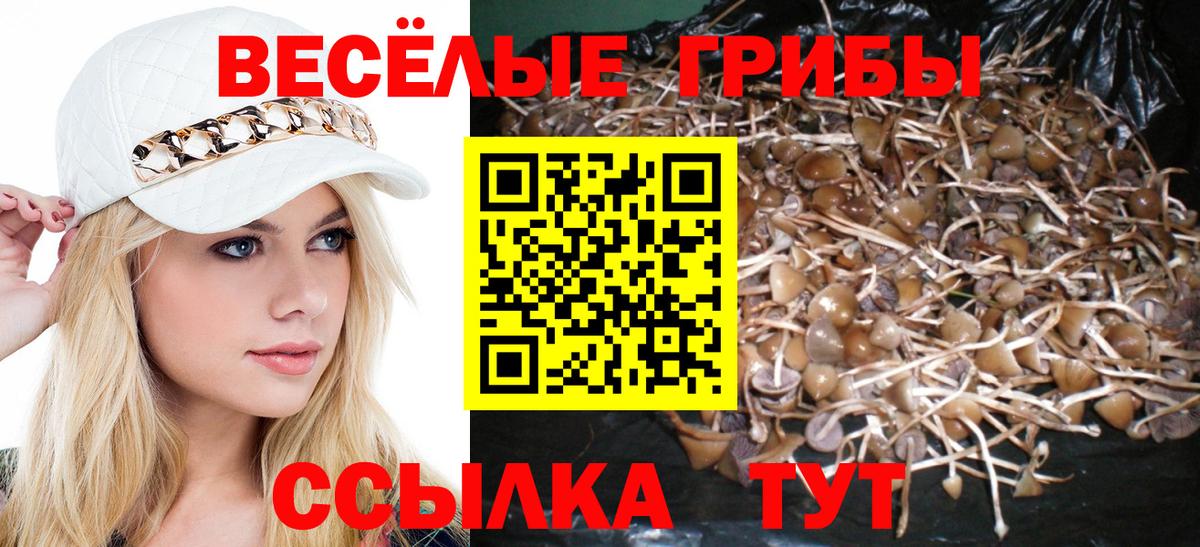 А ПВП СОЛЬ   ЭКСТАЗИ  Нововоронеж  МДМА  ГАШИШ  Cocaine  Меф МЯУ МЯУ   Вход с VPN  Каннабис 