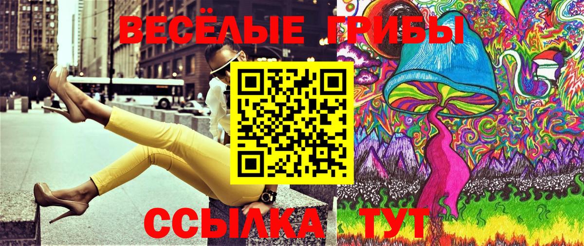 Галлюциногенные грибы Cubensis  Нововоронеж 